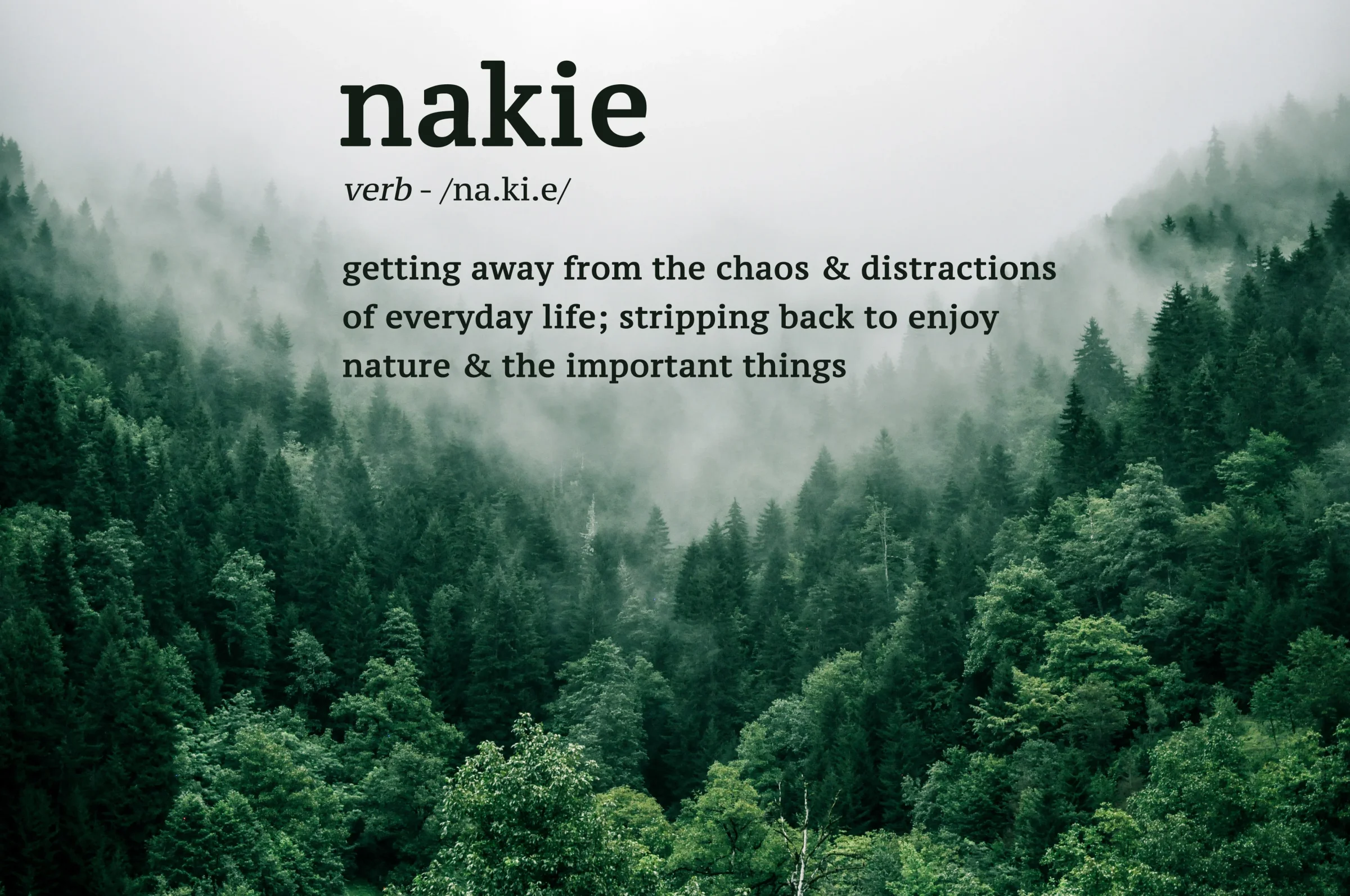 Nakie hammock hung beside the sea